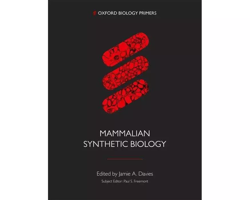 Mammalian Synthetic Biology