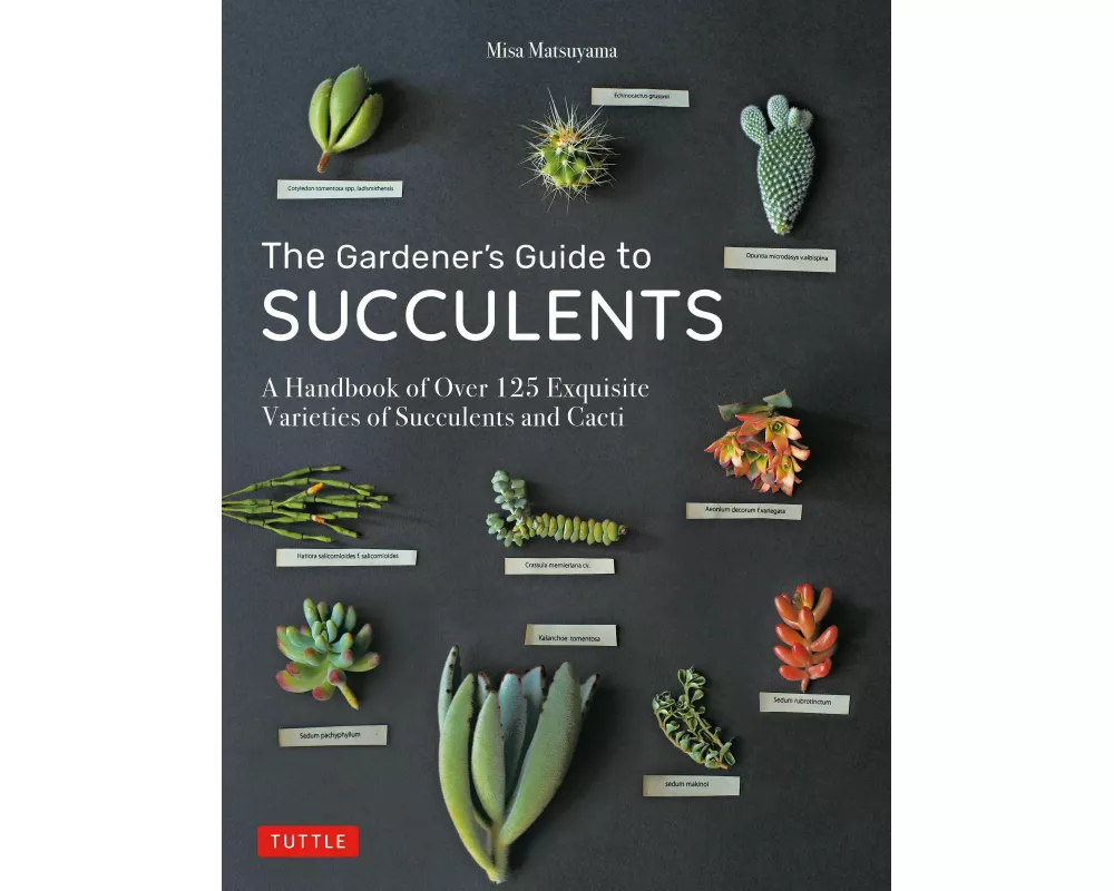 The Gardener's Guide to Succulents