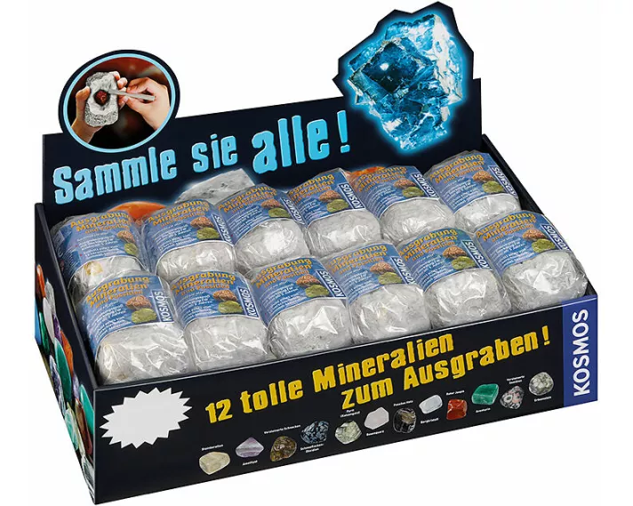 Mineralien & Fossilien (24 Ex. im Display)