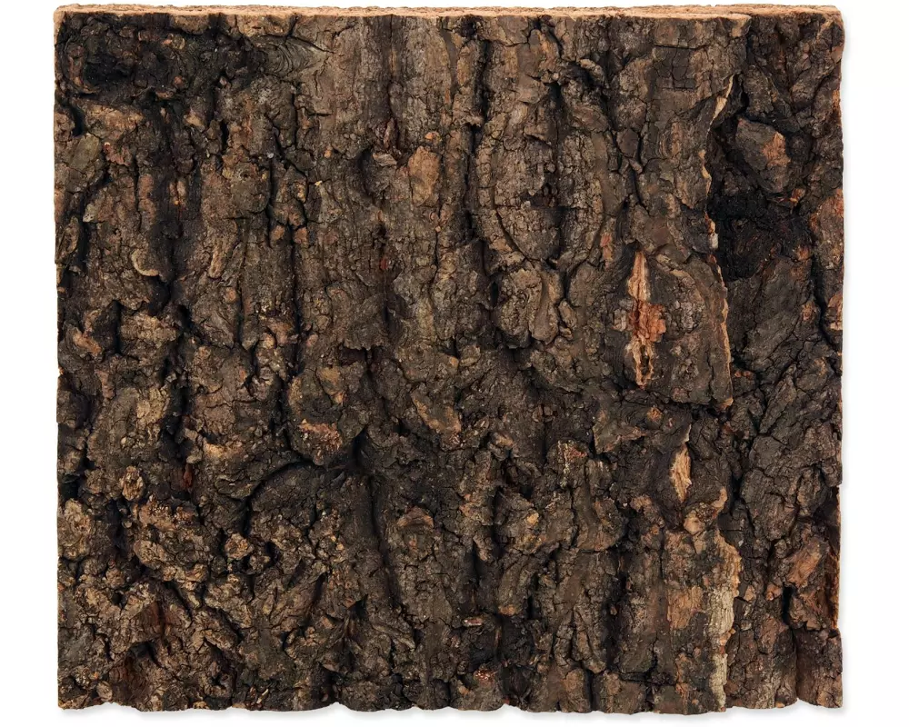 Repti Planet Kork-Rück Wand 19 x 17.3 x 2 cm