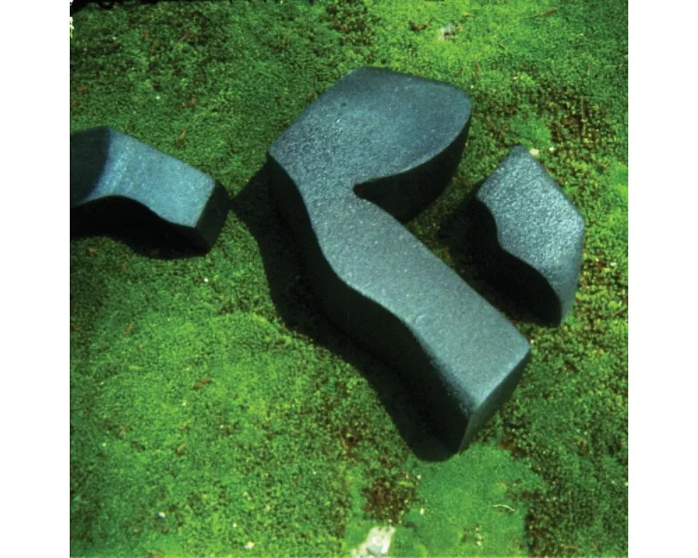 Heart Pressed Between Stones