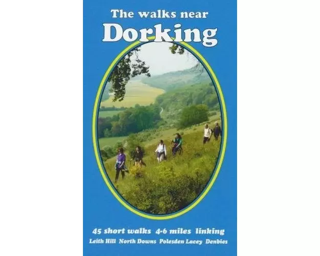 The Walks near Dorking