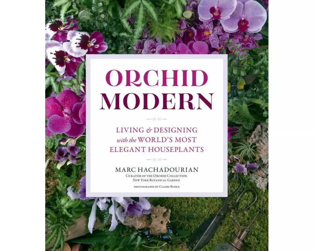 Orchid Modern