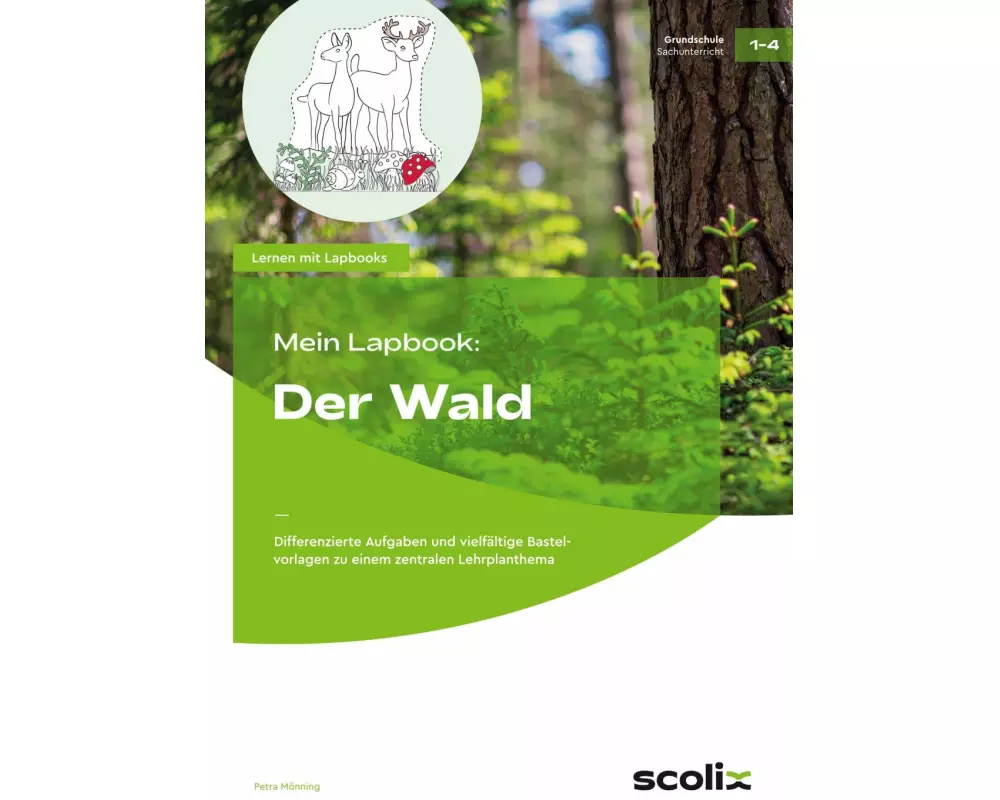 Mein Lapbook: Der Wald