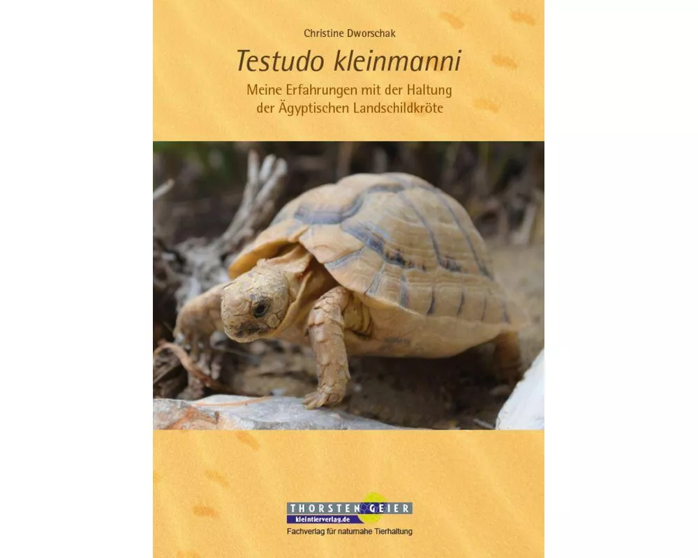 Testudo kleinmanni