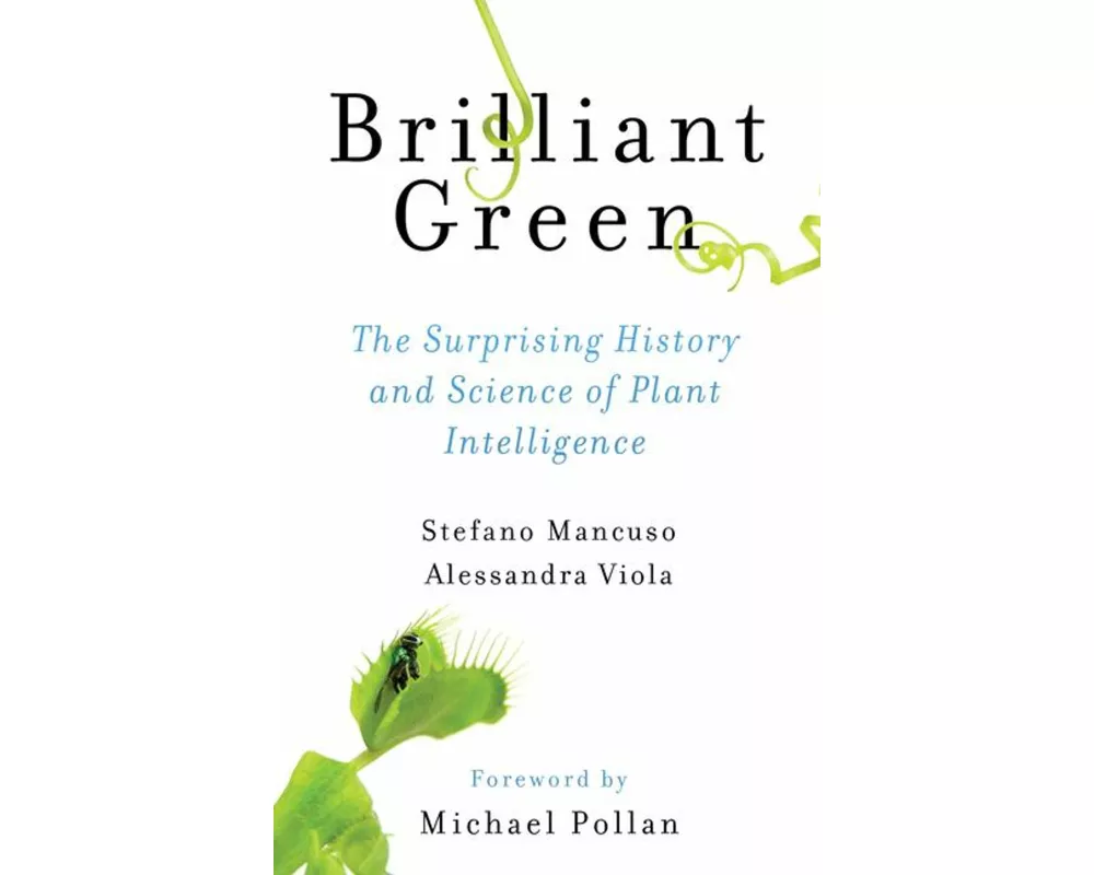 Brilliant Green