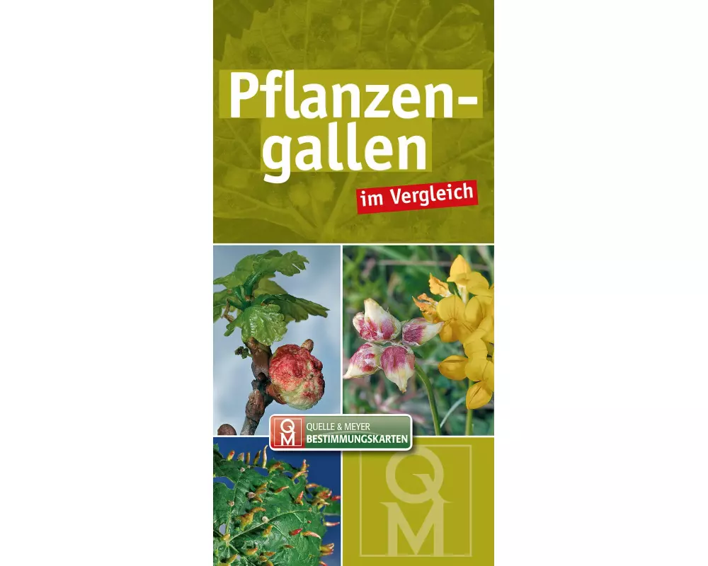 Pflanzengallen im Vergleich