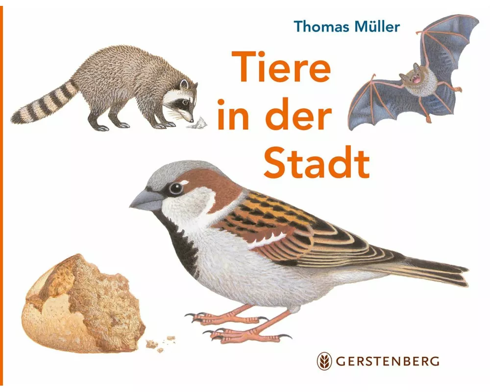 Tiere in der Stadt