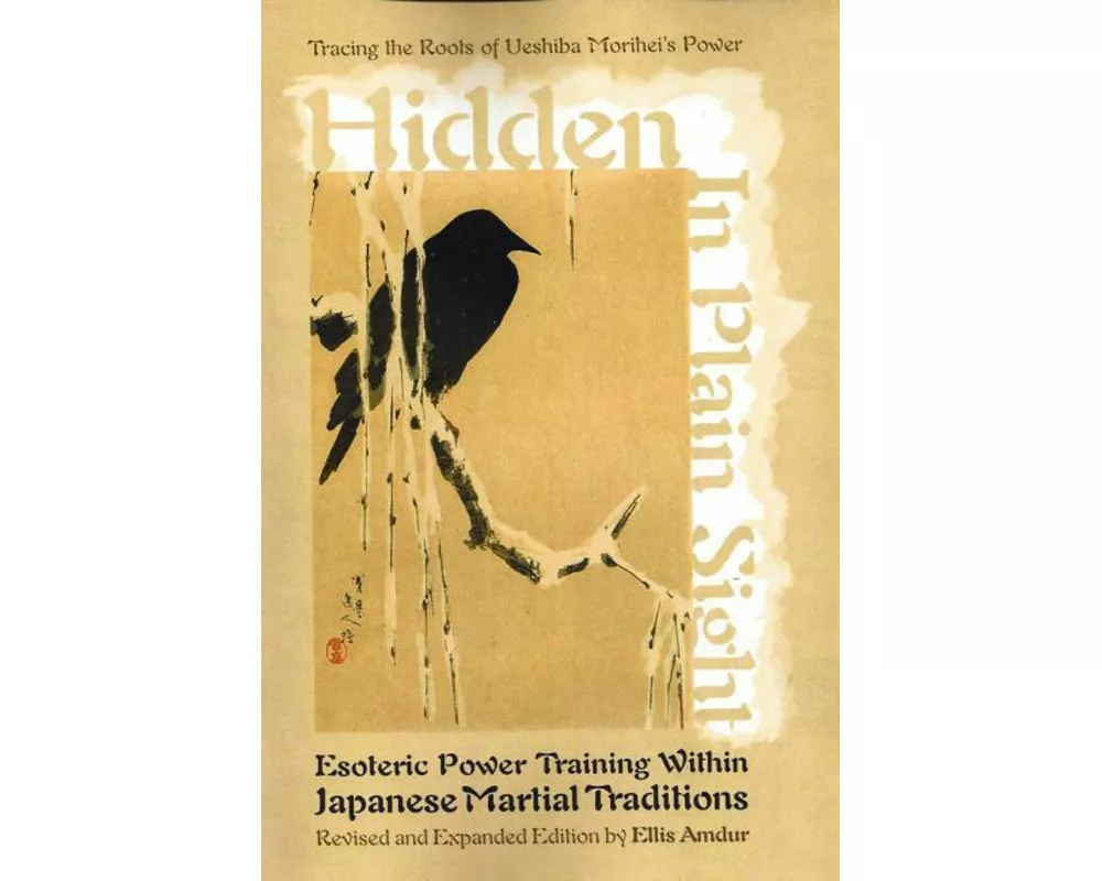 Hidden in Plain Sight