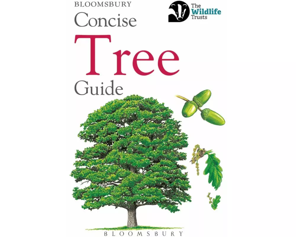 Concise Tree Guide