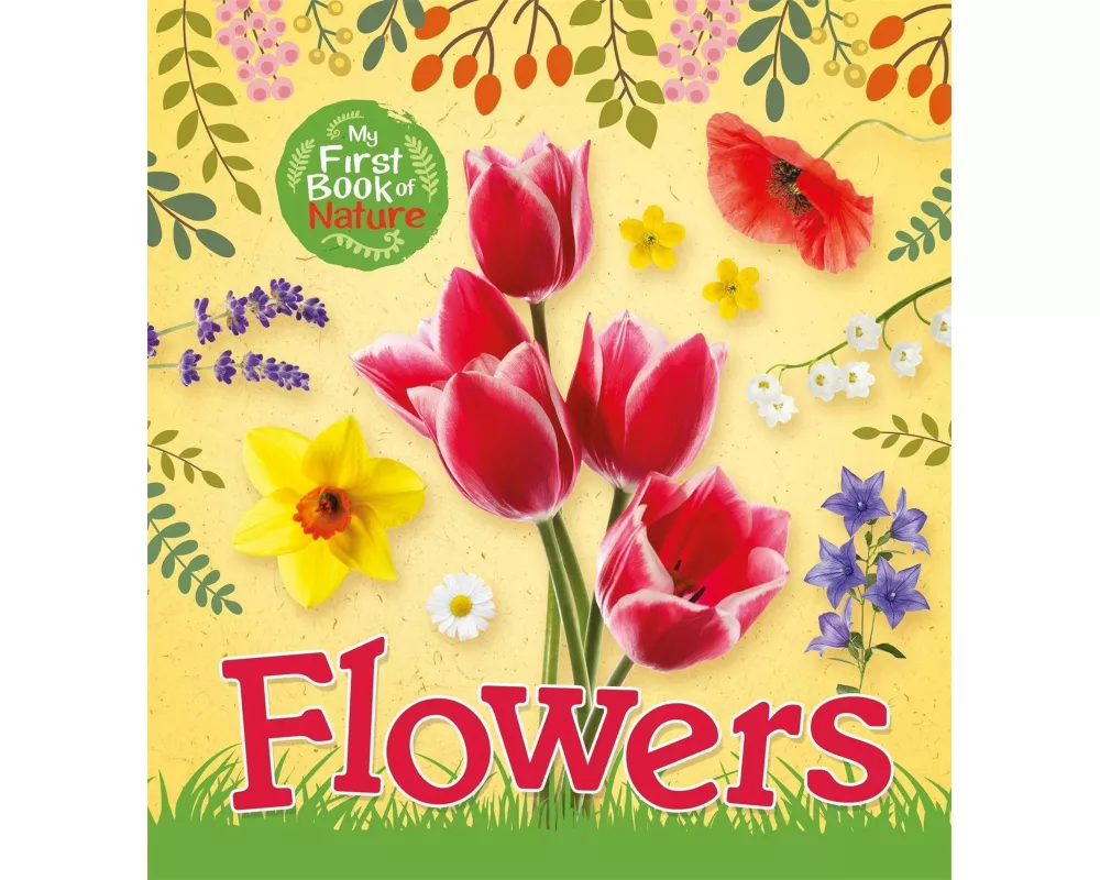 My First Book of Nature: Flowers