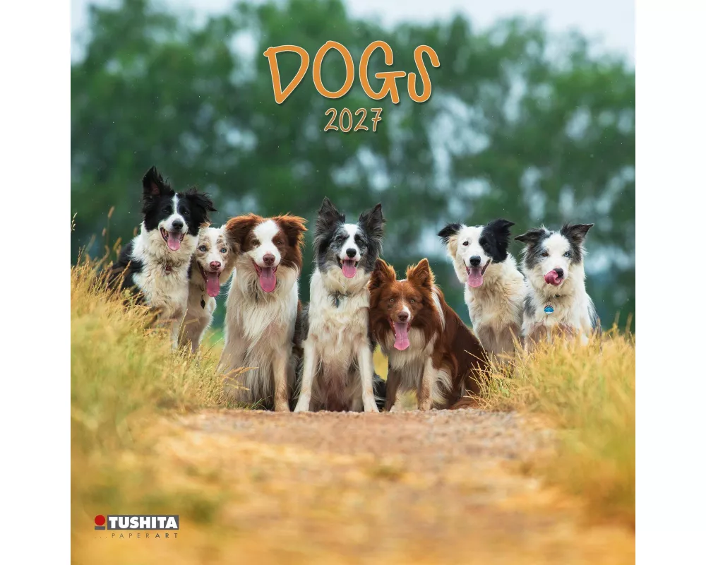 Dogs 2027