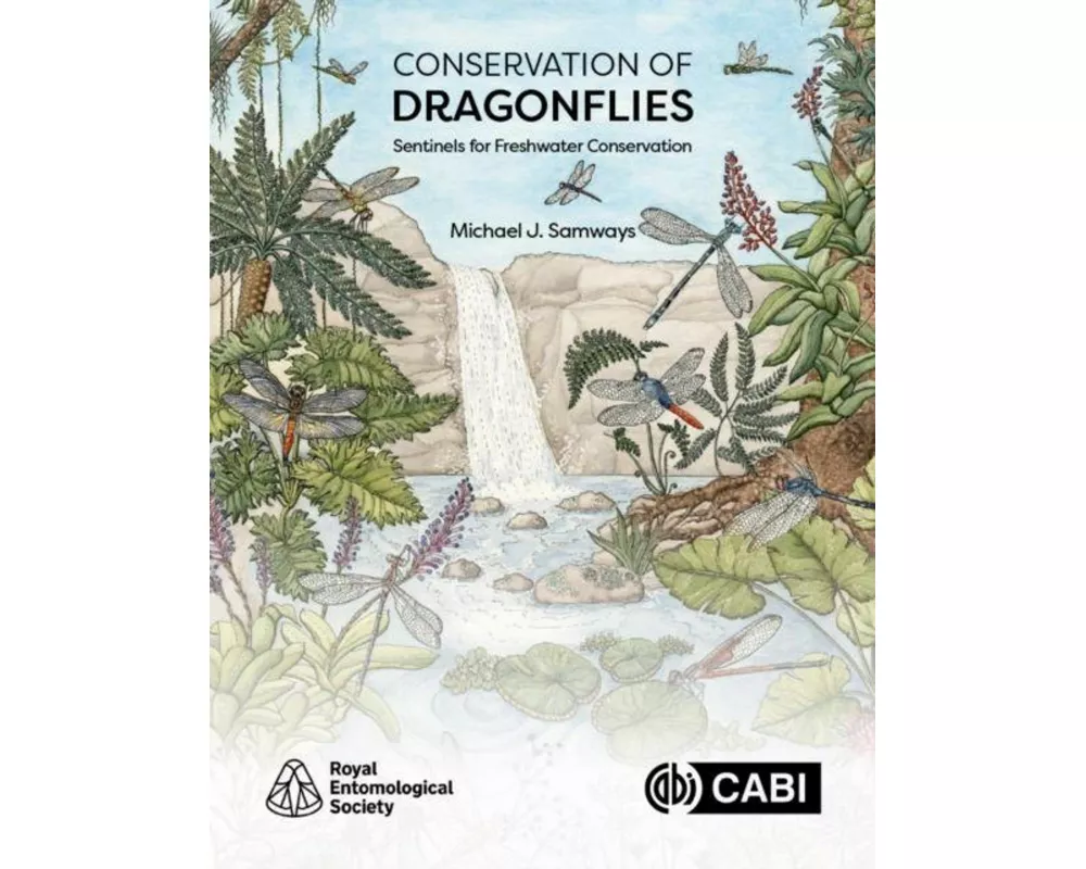 Conservation of Dragonflies