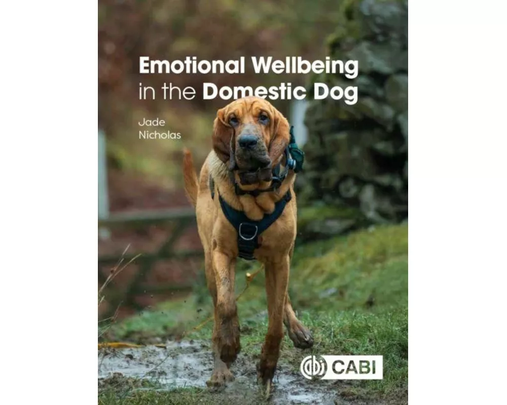 Emotional Wellbeing in the Domestic Dog
