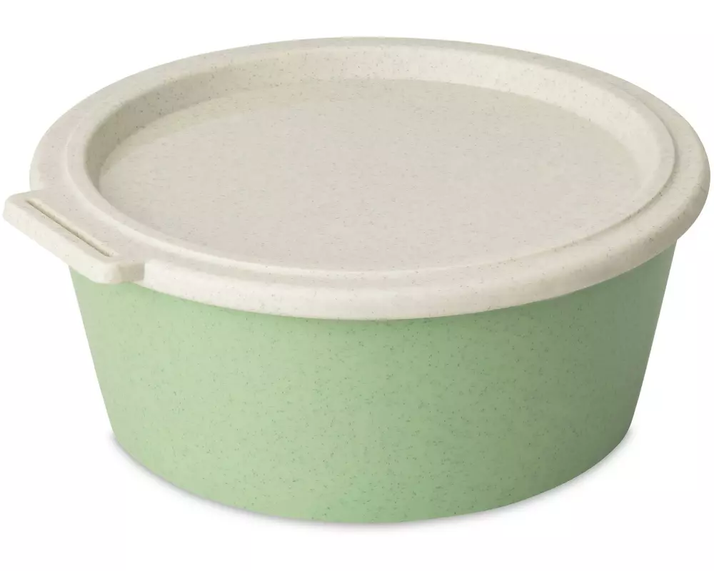 Koziol Schale Move Box mit Deckel 1.3 l, Grün