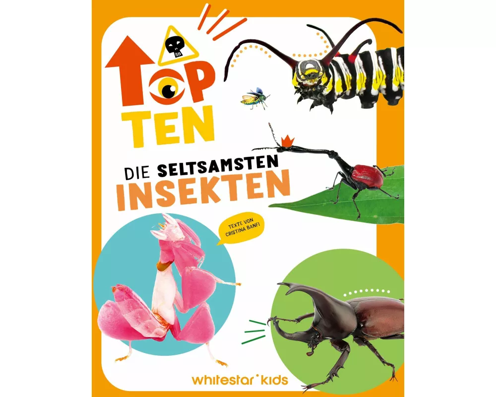 Top Ten die seltsamsten Insekten
