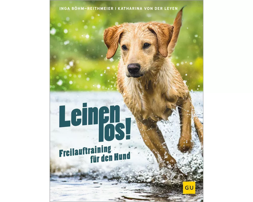 Leinen los! Freilauftraining für den Hund