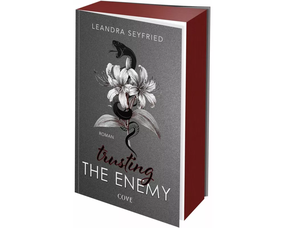 Trusting The Enemy (Sons of Chicago 2)