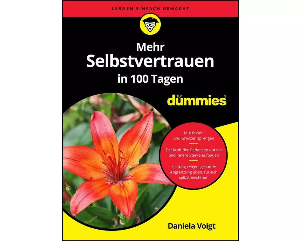 Mehr Selbstvertrauen in 100 Tagen für Dummies