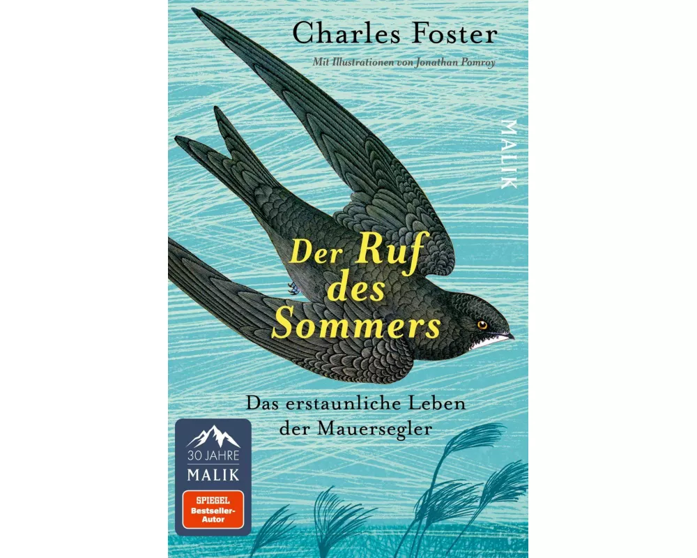 Der Ruf des Sommers