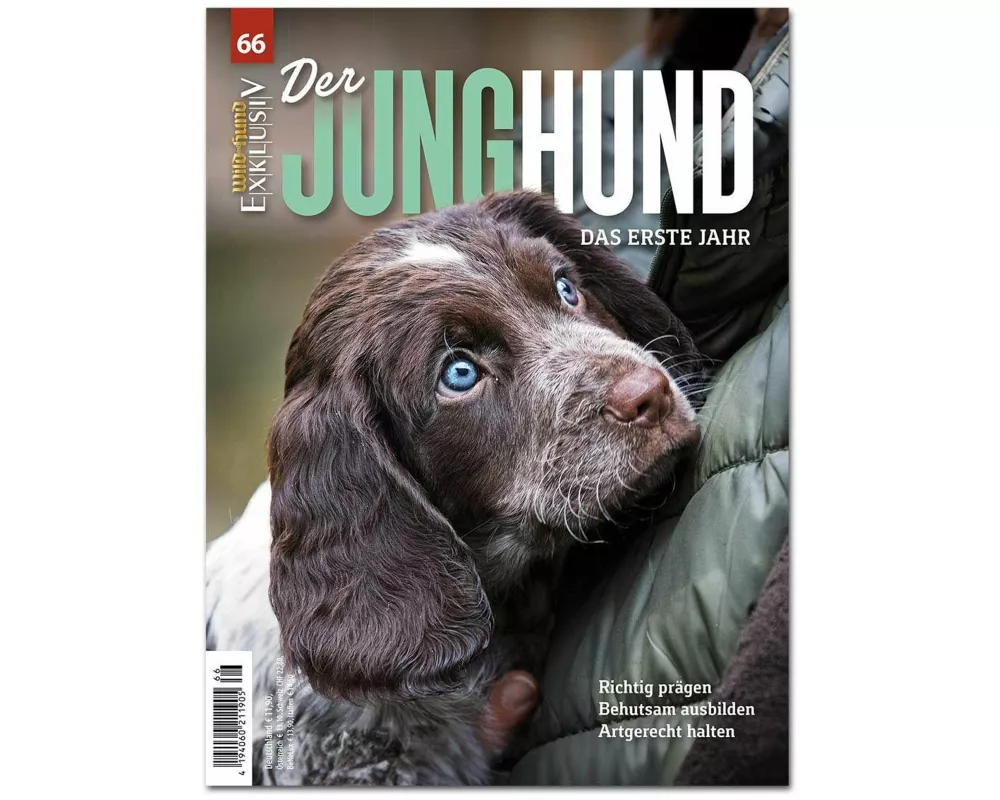 Wild Und Hund Exklusiv Nr. 66: Der Junghund - Das Erste Jahr