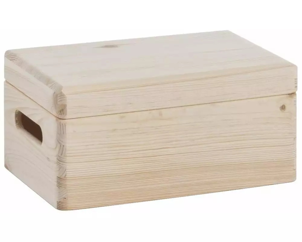 Zeller Present Aufbewahrungskiste mit Deckel 30 x 14 cm, Nature