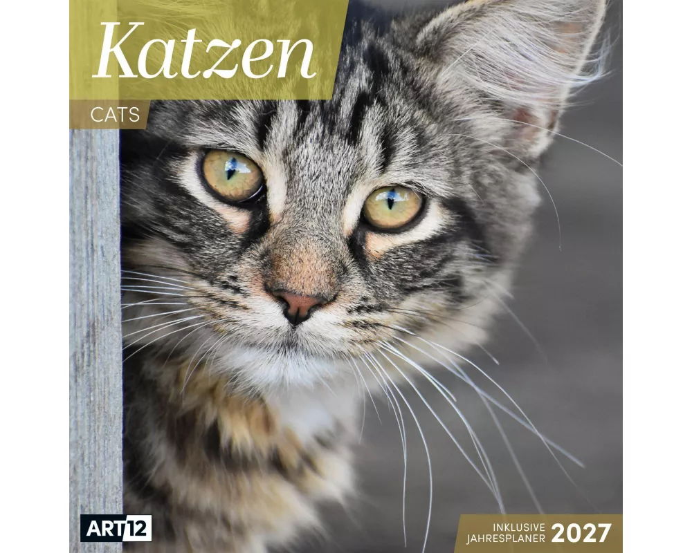Katzen Kalender 2027 - 30x30 - Art12
