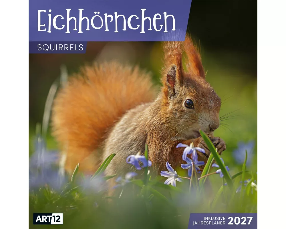 Eichhörnchen Kalender 2027 - 30x30 - Art12