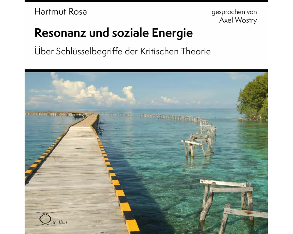 Resonanz und soziale Energie