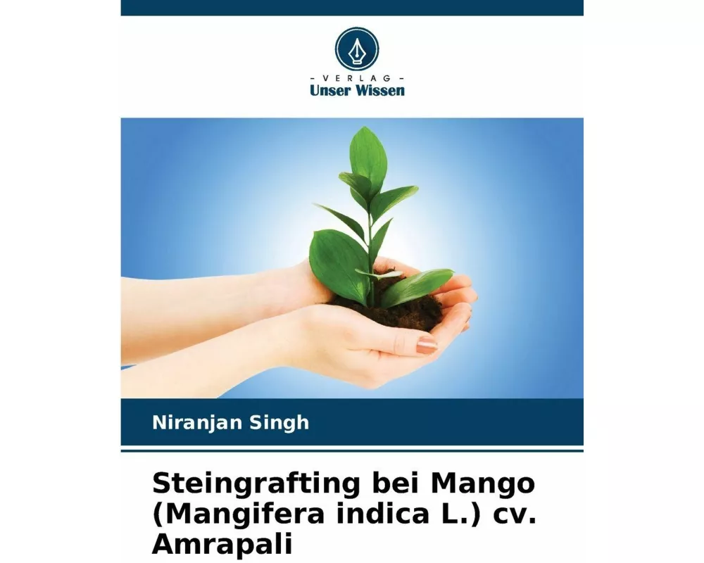Steingrafting bei Mango (Mangifera indica L.) cv. Amrapali