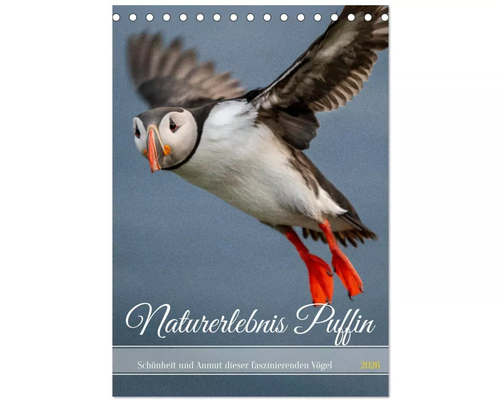 Naturerlebnis Puffin (Tischkalender 2026 DIN A5 hoch), CALVENDO Monatskalender