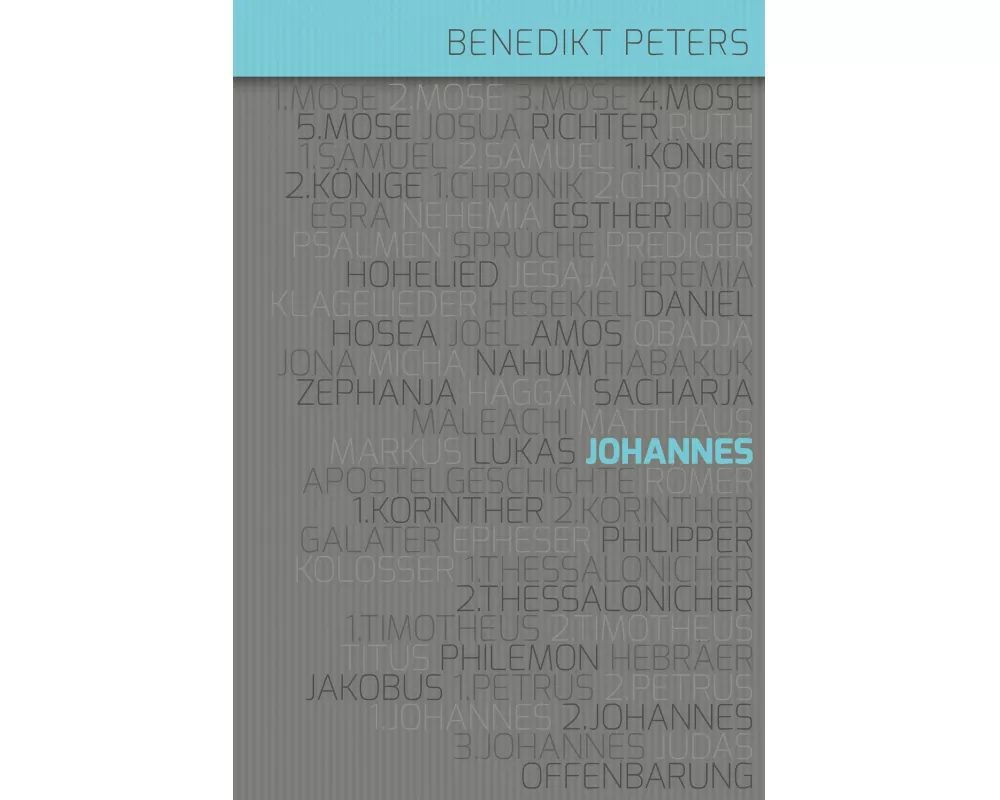 Kommentar zum Johannes-Evangelium