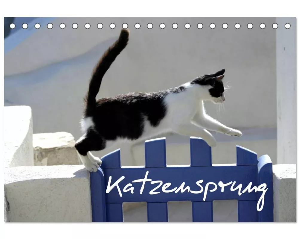 Katzensprung (Tischkalender 2026 DIN A5 quer), CALVENDO Monatskalender