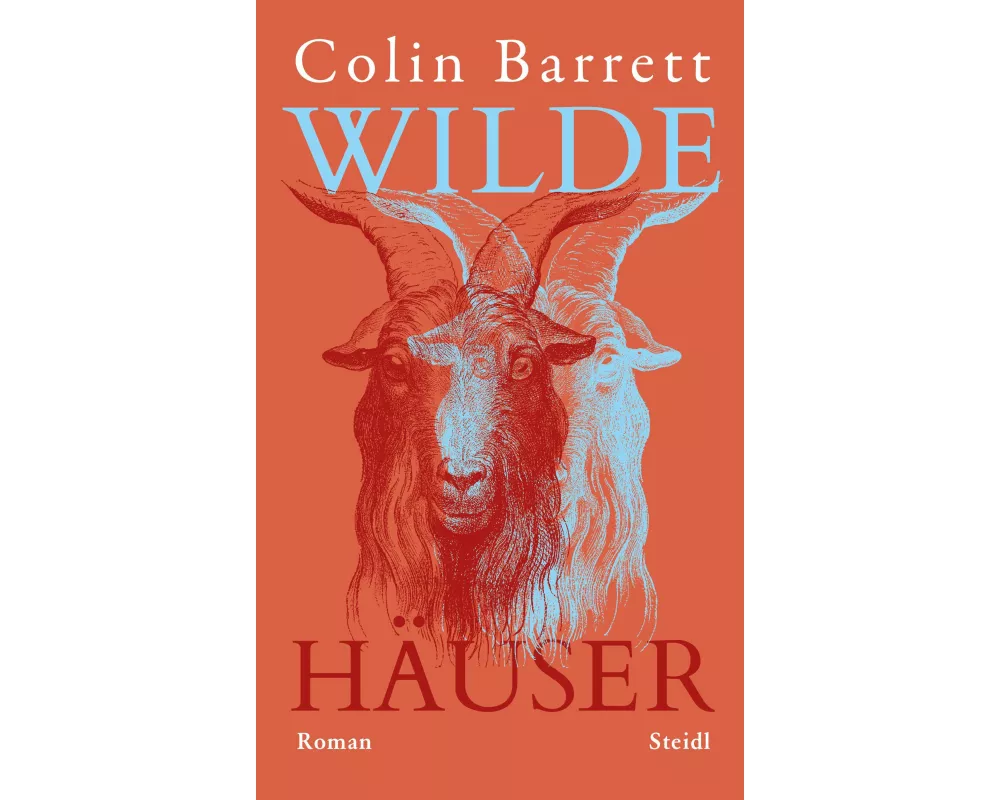 Wilde Häuser