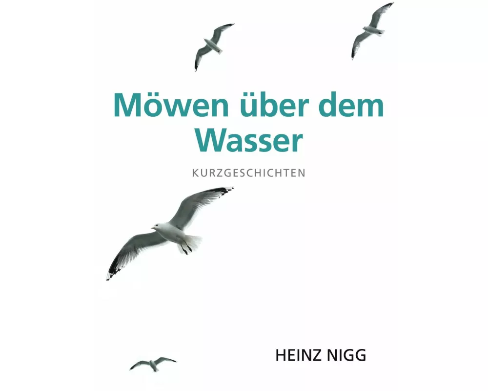 Möwen über dem Wasser
