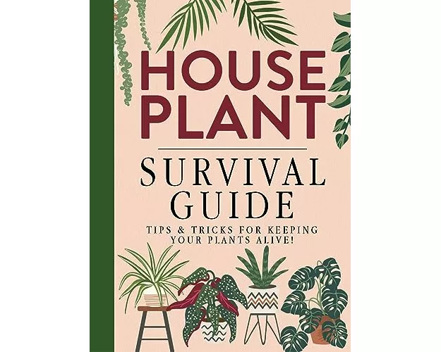 Houseplant Survival Guide - Tips and Tricks for Keeping Your Plants Alive