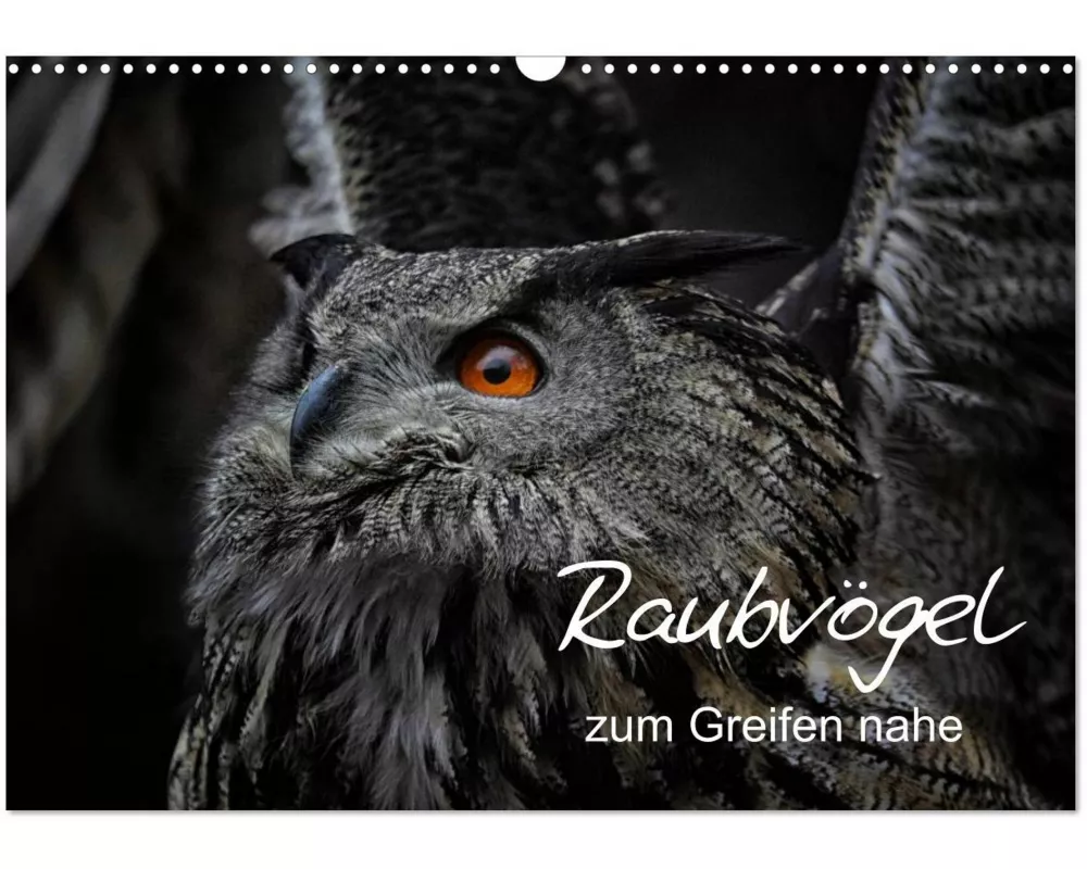 Raubvögel zum Greifen nahe (Wandkalender 2026 DIN A3 quer), CALVENDO Monatskalender