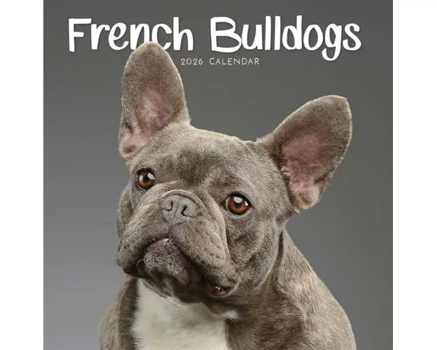French Bulldogs Square Mini Calendar 202