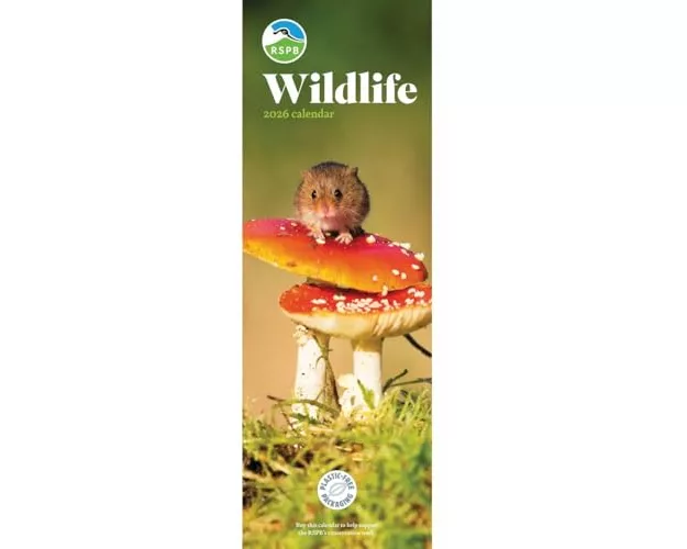 Rspb Wildlife Slim Calendar 2026