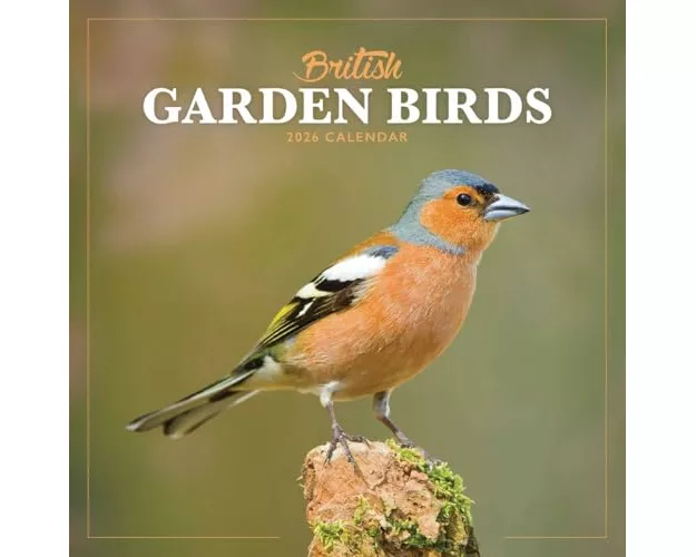 British Garden Birds Square Mini Calenda