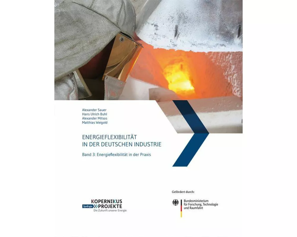 Energieflexibilität in der deutschen Industrie