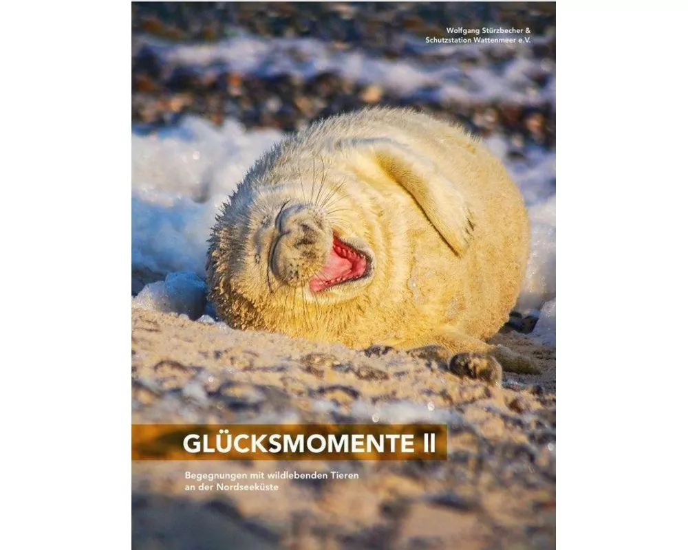 Glücksmomente II