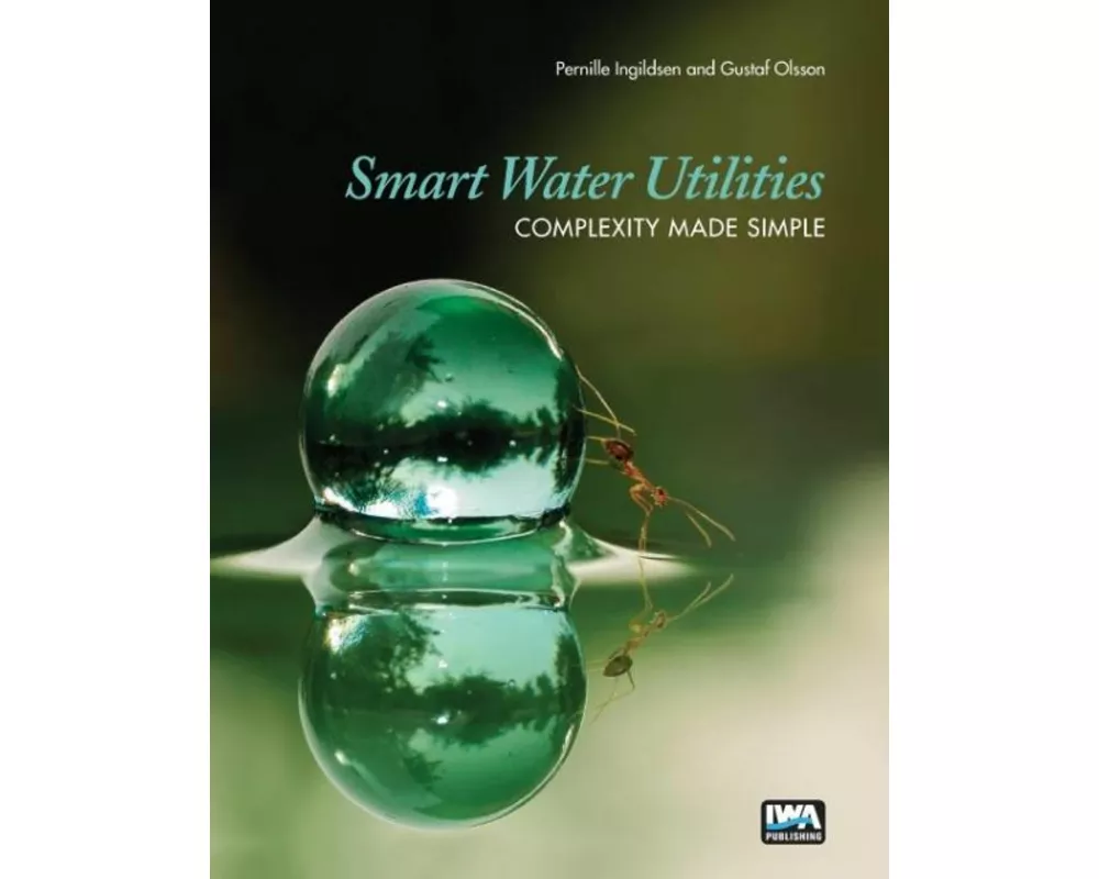Smart Water Utilities