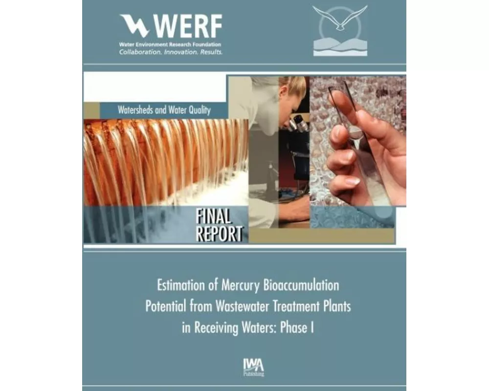 Estimation of Mercury Bioaccumulation Potential from Wastewater Treatment Plants in Receiving Waters: Phase 1