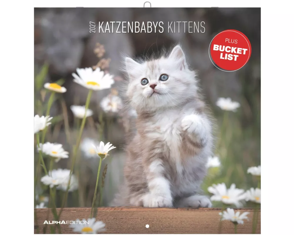 Katzenbabys 2027