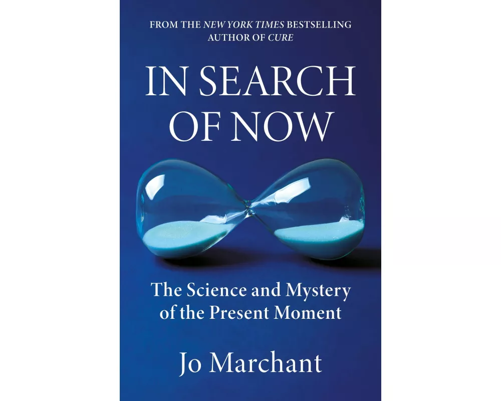 In Search of Now