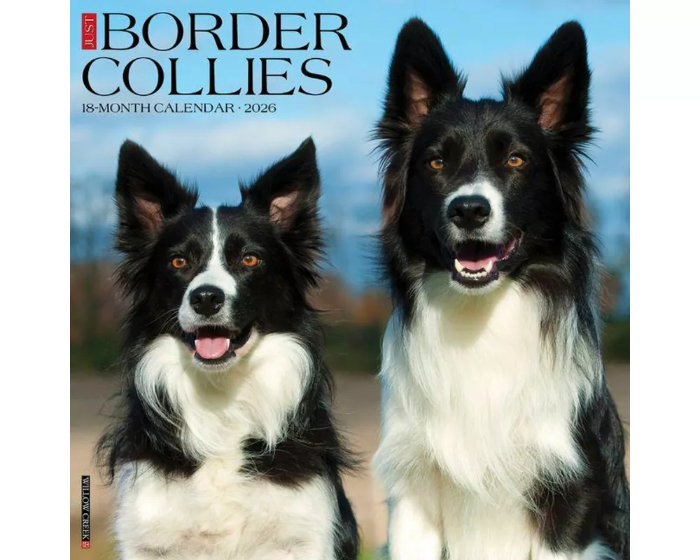 Border Collies 2026 Wall Calendar