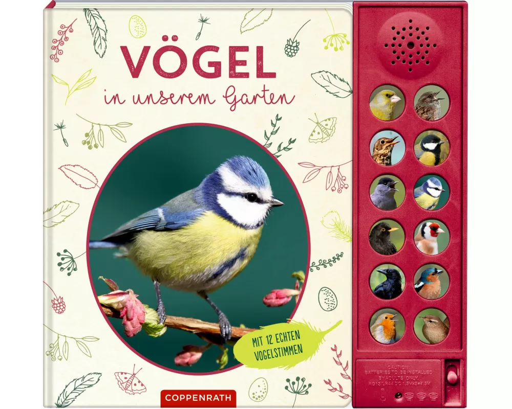 Vögel in unserem Garten