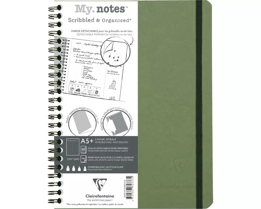 Clairefontaine Notizbuch AgeBag A5+, dotted, Grün
