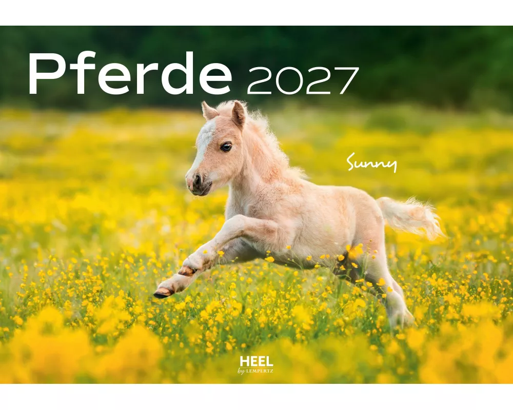 Pferde Kalender 2027 Wandkalender